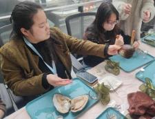 開蚌尋珠·首飾DIY制作中_物業(yè)服務(wù)